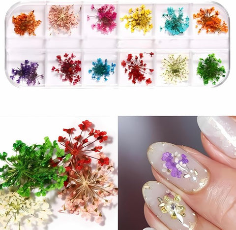 12 Grid 3D Dried Flowers Nail Art Set Real Pressed Flowers for Creating Beautiful Nails At Home.