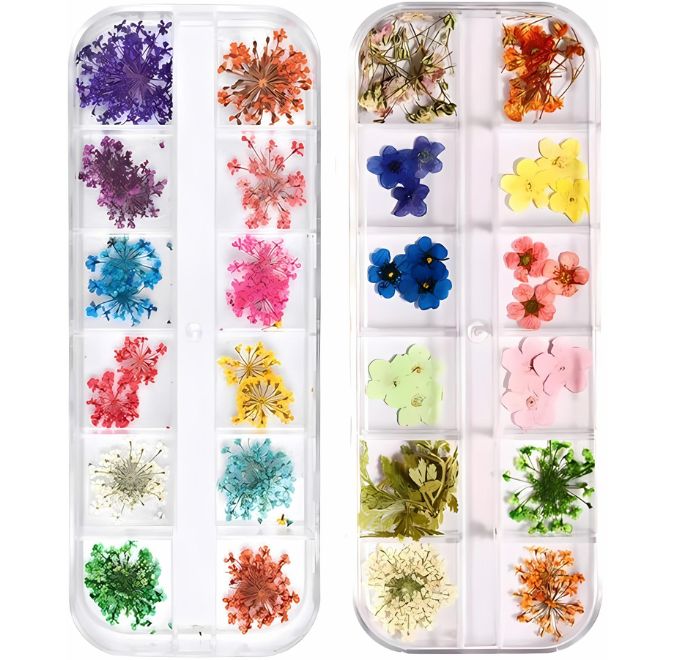 12 Grid 3D Dried Flowers Nail Art Set Real Pressed Flowers for Creating Beautiful Nails At Home.