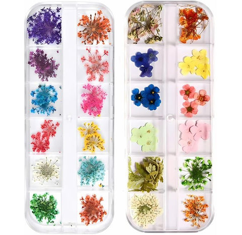 12 Grid 3D Dried Flowers Nail Art Set Real Pressed Flowers for Creating Beautiful Nails At Home.