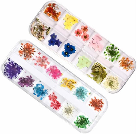 12 Grid 3D Dried Flowers Nail Art Set Real Pressed Flowers for Creating Beautiful Nails At Home.