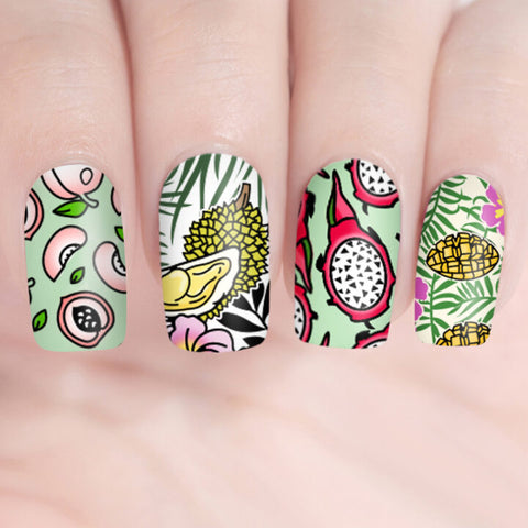 BORN PRETTY Stamping Plate Nail Art Template Tropical Punch-L001