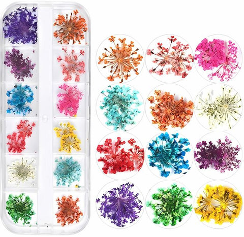 12 Grid 3D Dried Flowers Nail Art Set Real Pressed Flowers for Creating Beautiful Nails At Home.