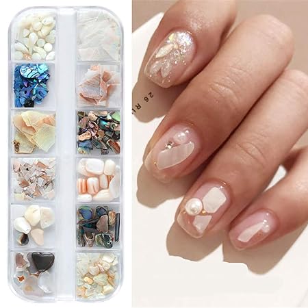 12 Grid Nail Art Shells Multi Colors Box Ting beauty Natural Irregular Sea Shell 3D Charm Nail Art Decoration