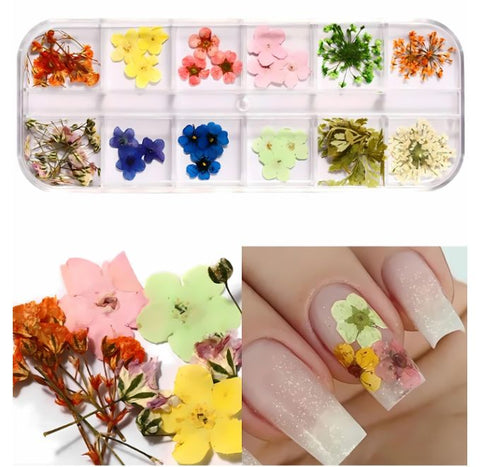 12 Grid 3D Dried Flowers Nail Art Set Real Pressed Flowers for Creating Beautiful Nails At Home.